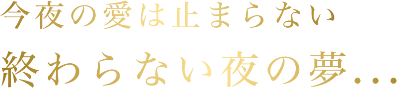 終わらない夜の夢・・・